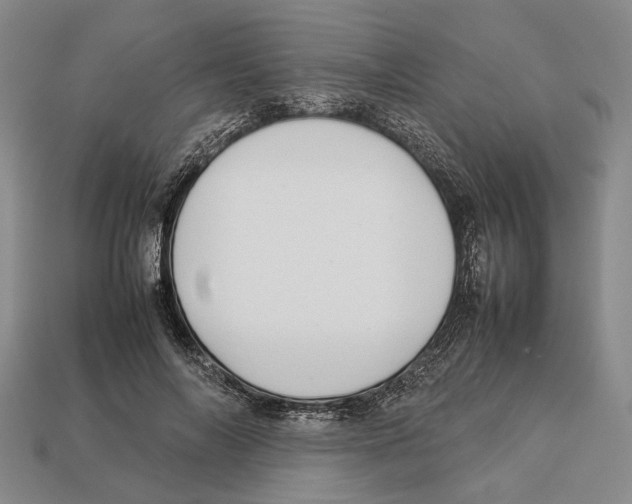 X0000113030694200909241414