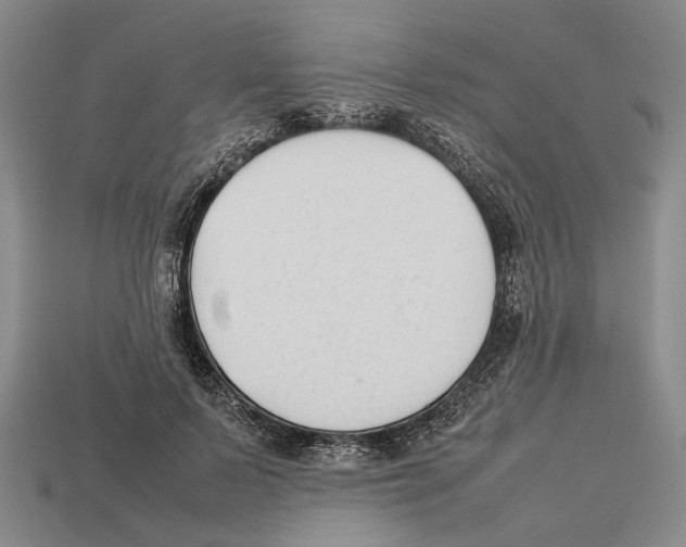 X0000113030695200909241414