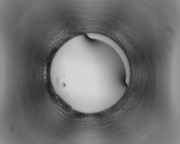 X0000113030696200909241414