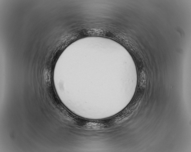 X0000113030699200909241414