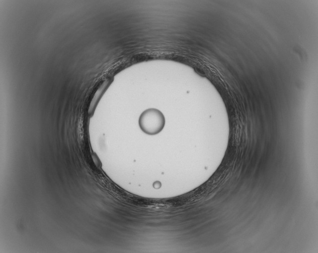 X0000113030700200909241414