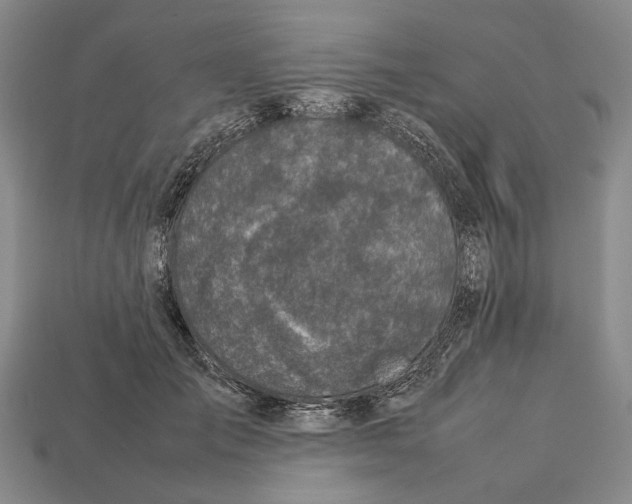 X0000113030701200909241414