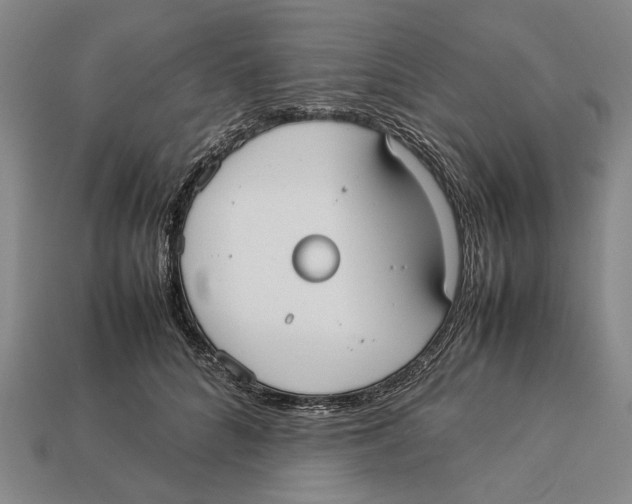 X0000113030704200909241414