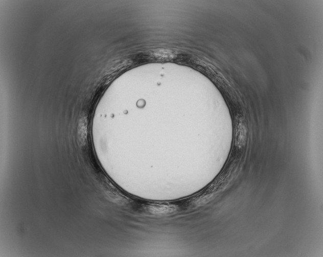 X0000113030707200909241414