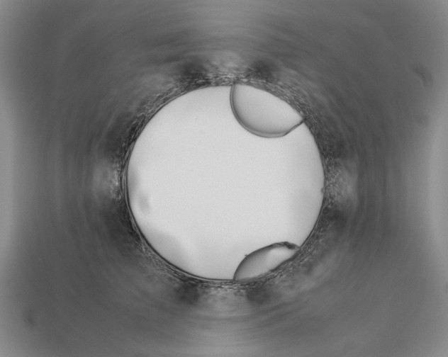 X0000113030709200909241414