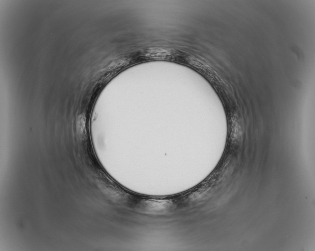 X0000113030711200909241414