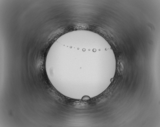 X0000113030714200909241414