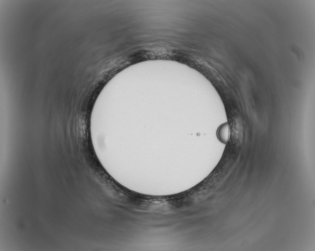 X0000113030715200909241414