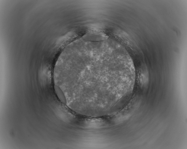 X0000113030716200909241414