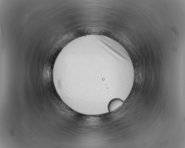 X0000113030718200909241414