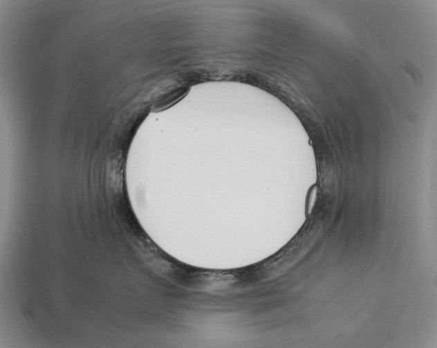 X0000113030719200909241414