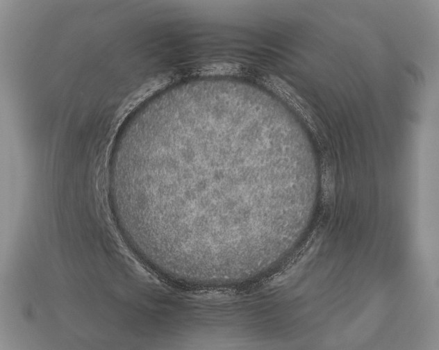 X0000113030721200909241413