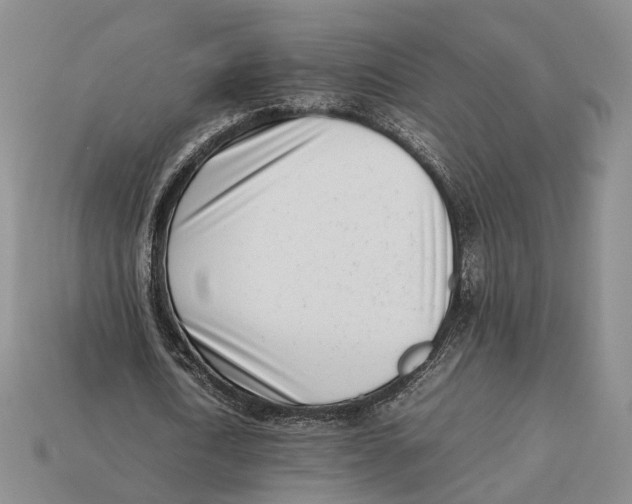 X0000113030722200909241413