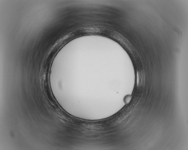 X0000113030723200909241413