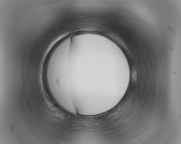 X0000113030724200909241413