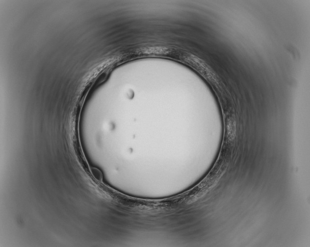 X0000113030725200909241413