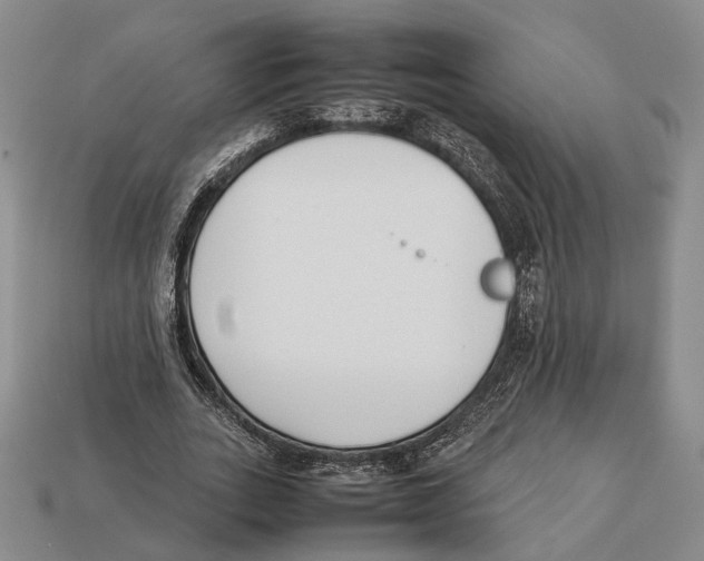 X0000113030727200909241413