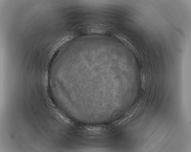 X0000113030729200909241413