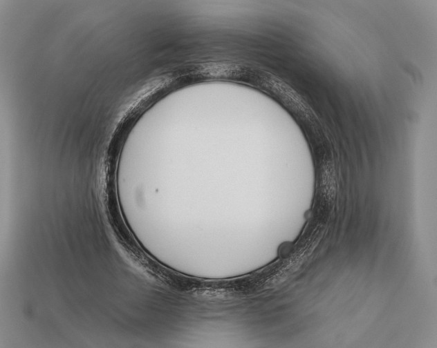 X0000113030730200909241413