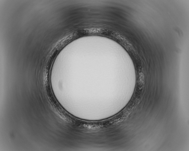 X0000113030733200909241413