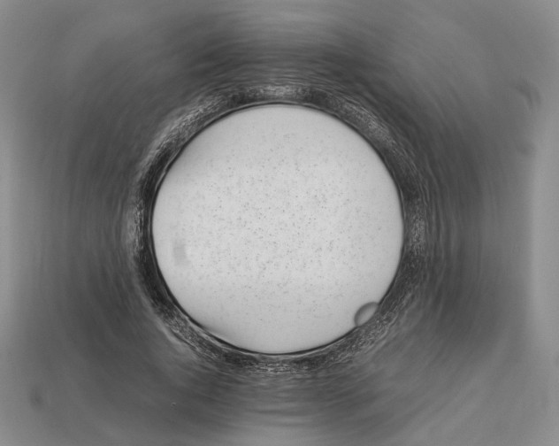 X0000113030736200909241413