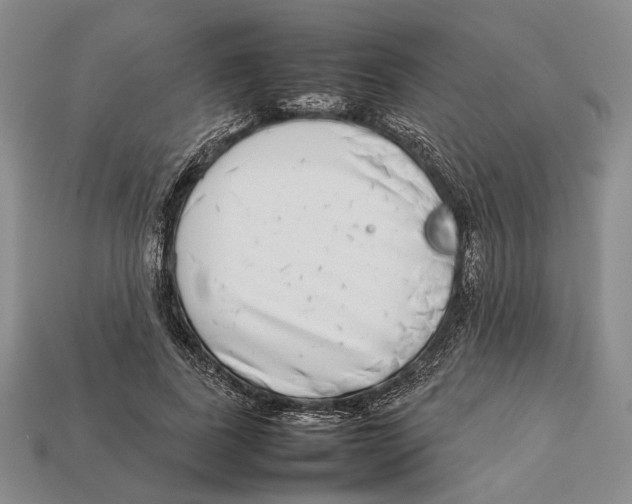 X0000113030739200909241413