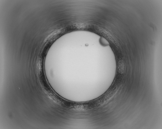 X0000113030740200909241413