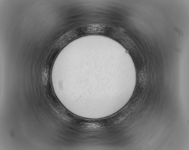 X0000113030741200909241413