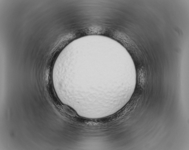 X0000113030742200909241413