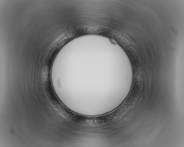 X0000113030744200909241413