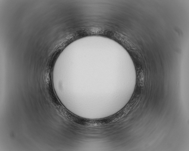 X0000113030746200909241413