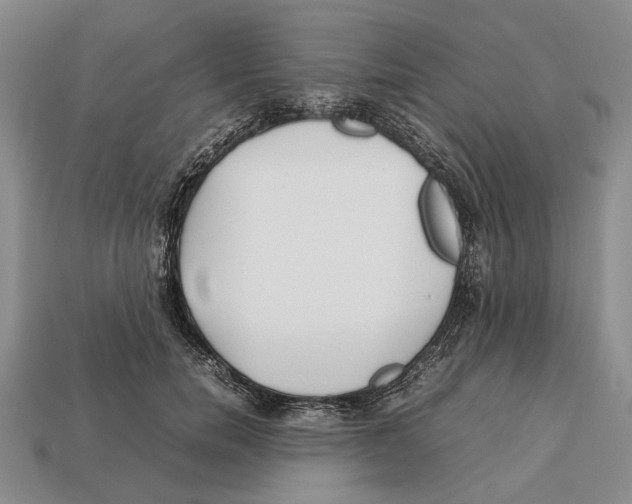 X0000113030750200909241413