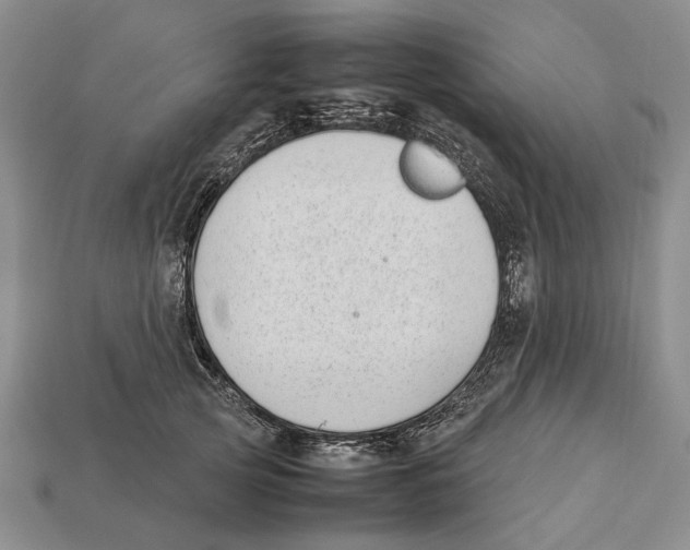 X0000113030753200909241414