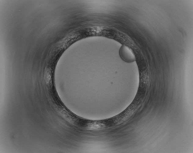 X0000113030754200909241414