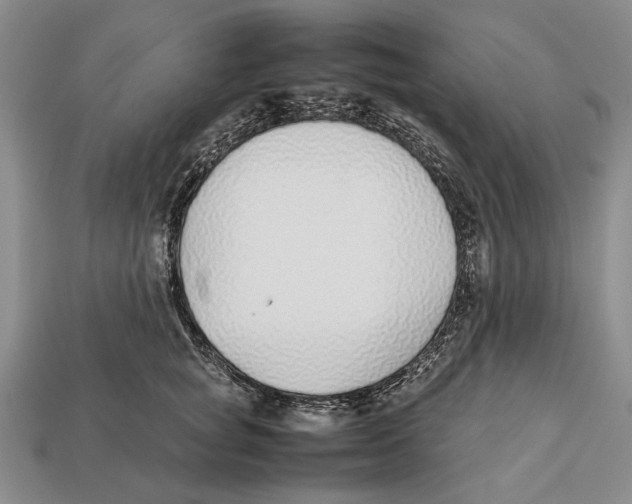 X0000113030757200909241414