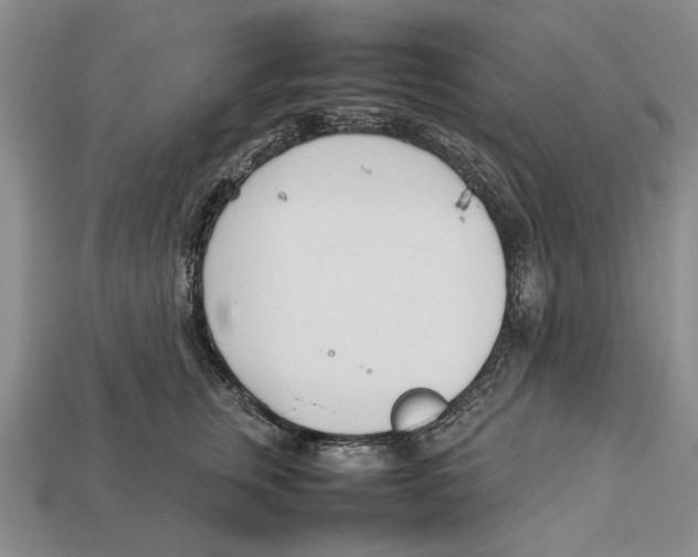 X0000113030759200909241414