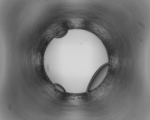 X0000113030760200909241414