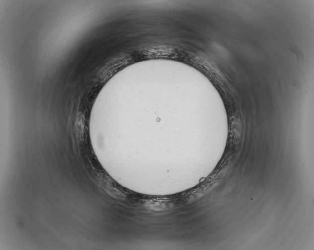 X0000113030761200909241414