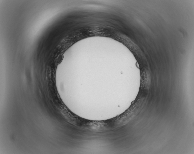 X0000113030762200909241414