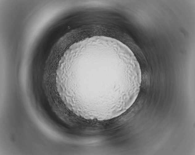 X0000113030765200909241414