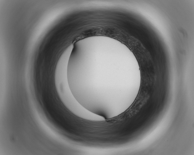 X0000113030766200909241414