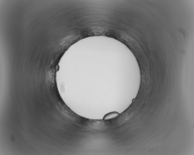 X0000113030768200909241414