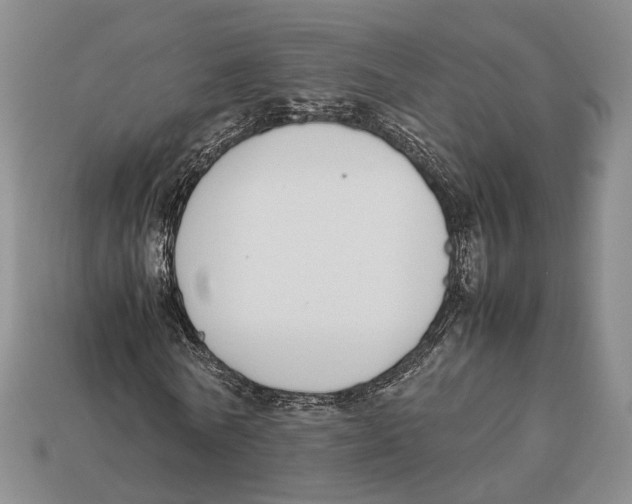 X0000113030770200909241413