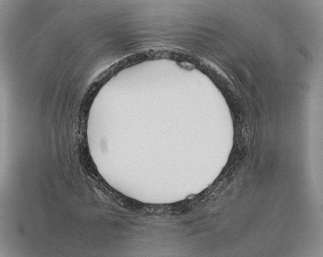 X0000113030775200909241413