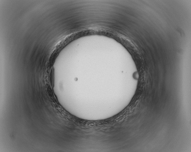 X0000113030776200909241413