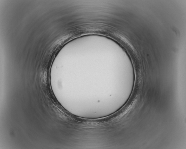 X0000113030777200909241413