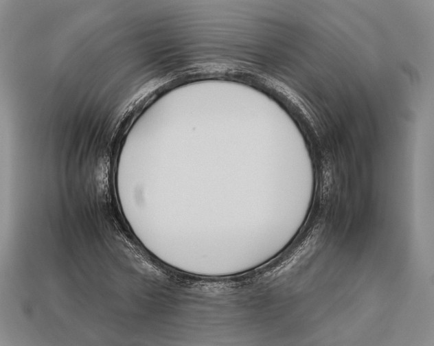 X0000113030778200909241413