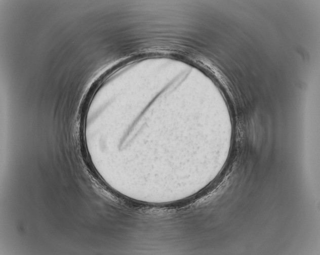 X0000113030779200909241413