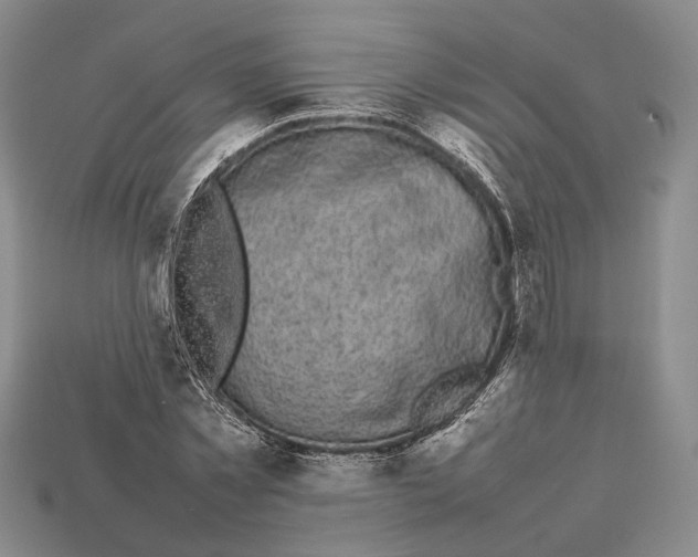 X0000113030781200909241413