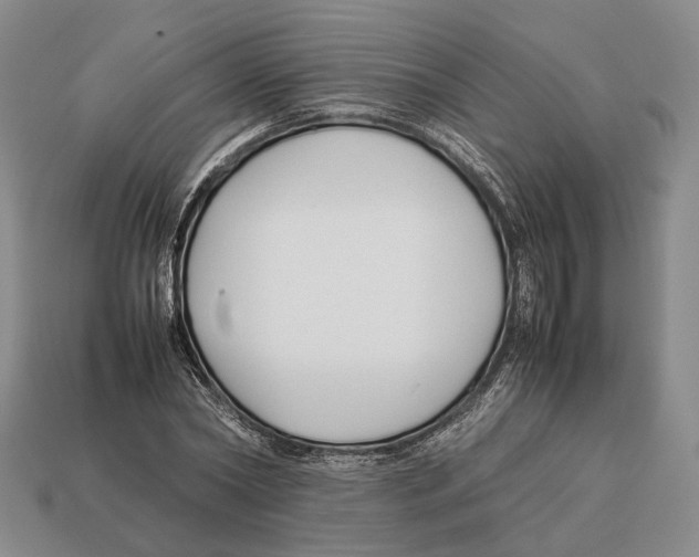 X0000113030782200909241413